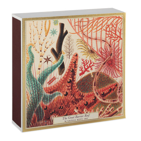 Great Barrier Reef | Safety Matches