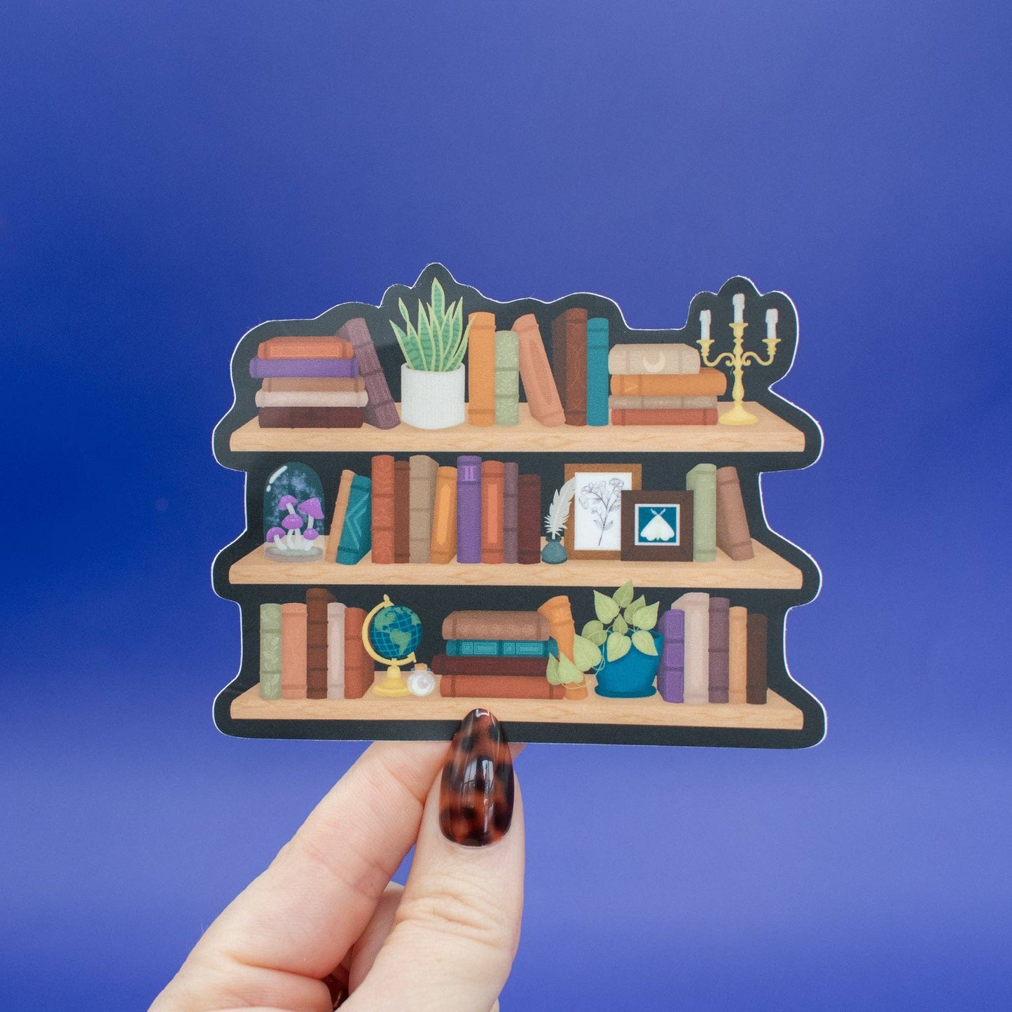 Open Shelves Vinyl Sticker
