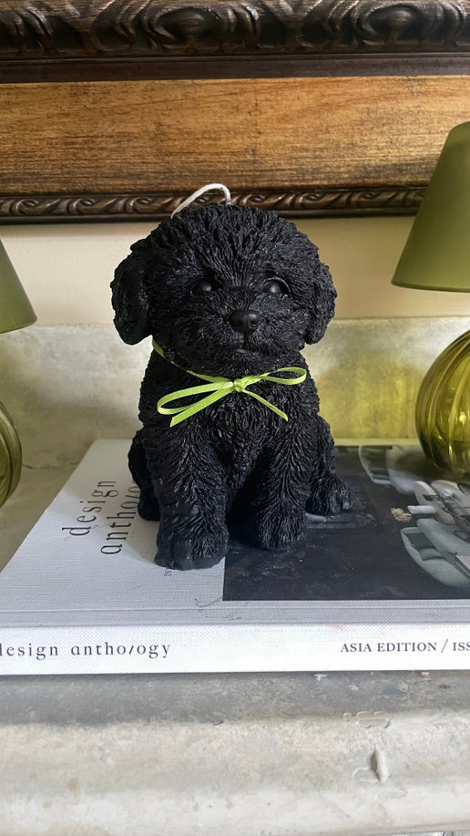 Puppy