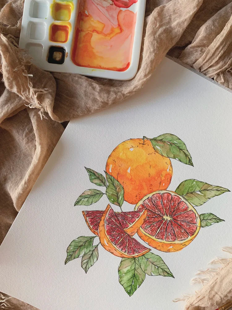 Grapefruit Art Print (5x7)