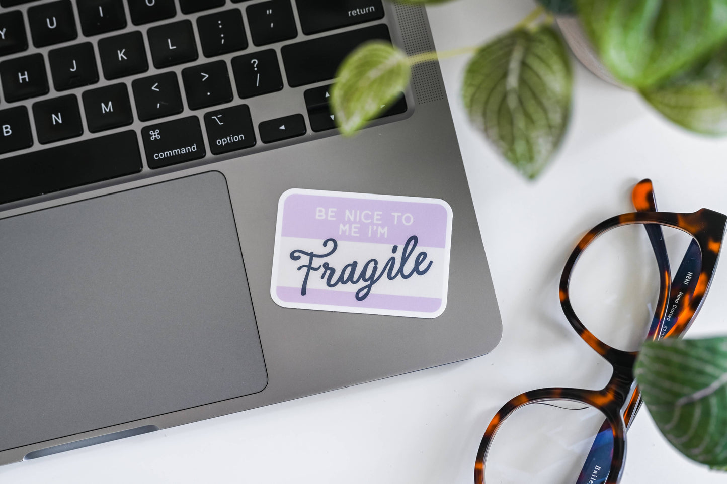 "Be Nice To Me I'm Fragile" Vinyl Sticker