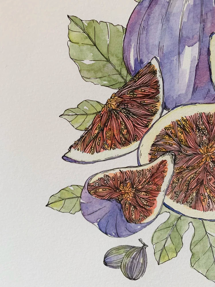 Figs Art Print (5x7)