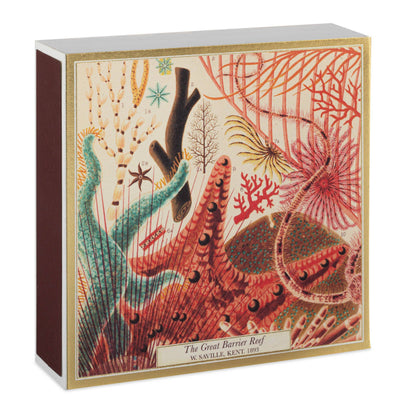 Great Barrier Reef | Safety Matches