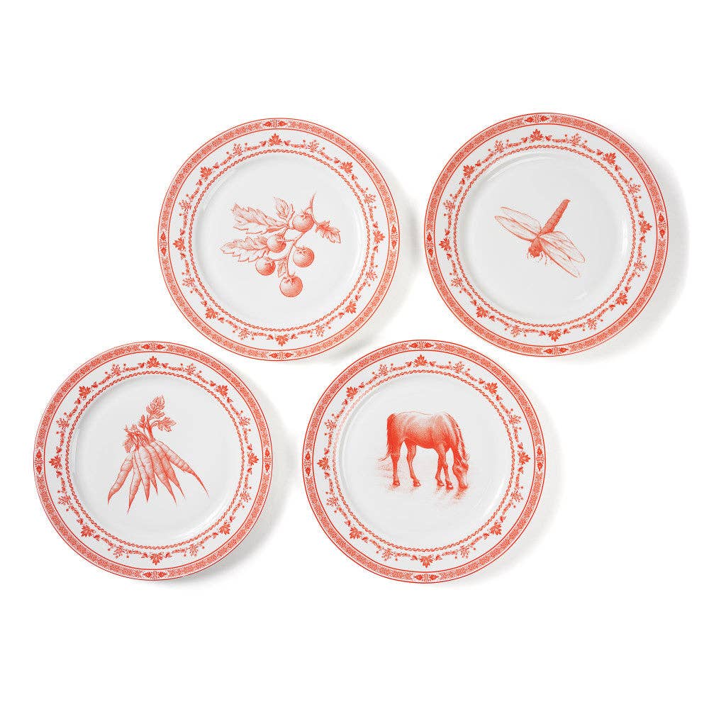 Farm Fresh Dinner Plates | Red and White