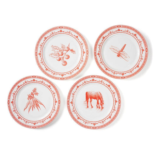 Farm Fresh Dinner Plates | Red and White