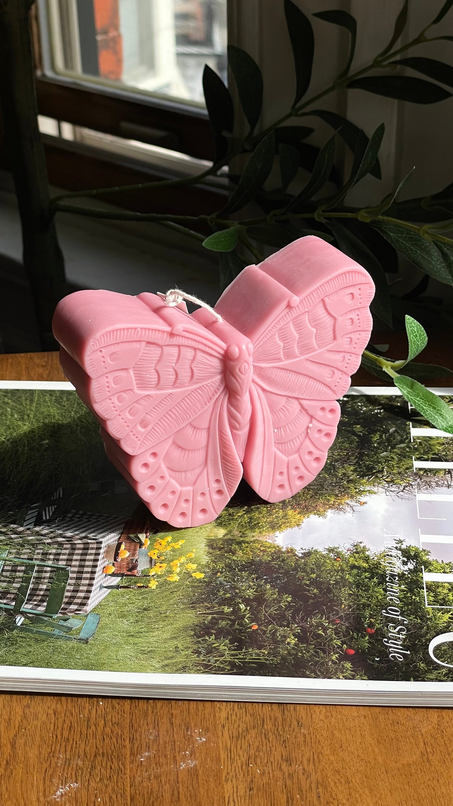 Butterfly