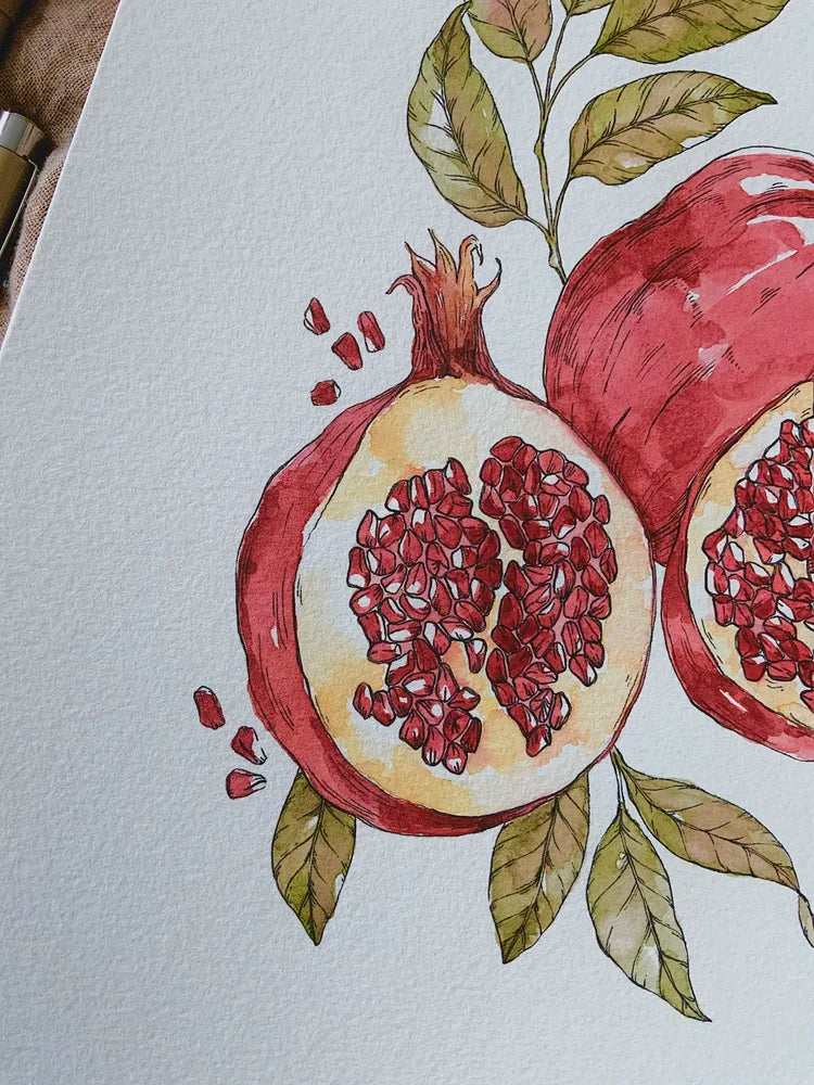 Pomegranate Art Print (5x7)