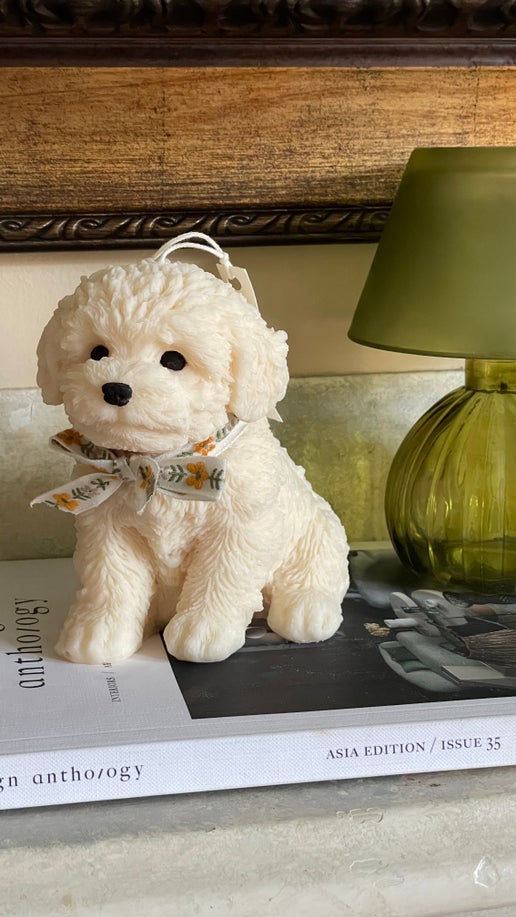 Puppy