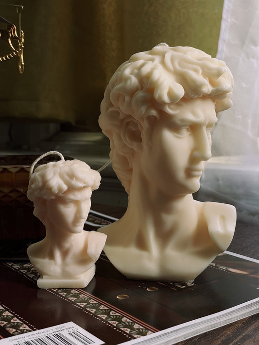 David Bust