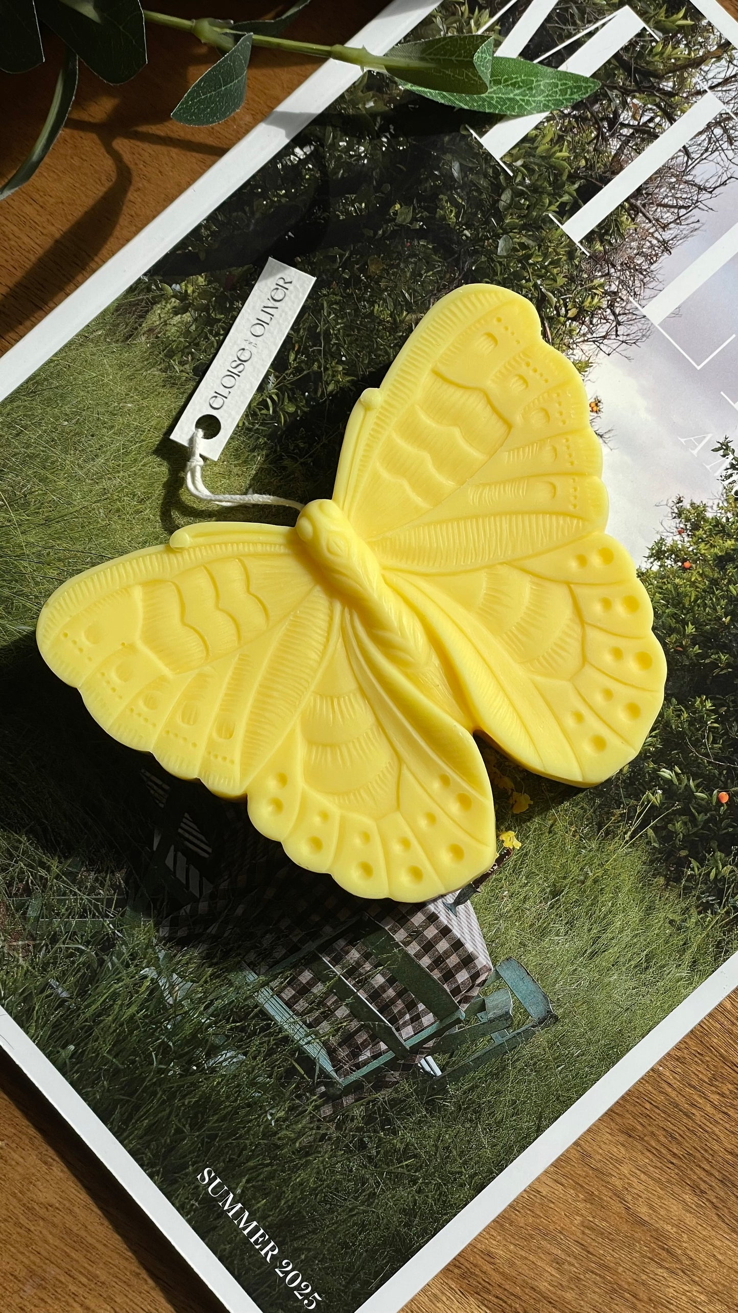 Butterfly