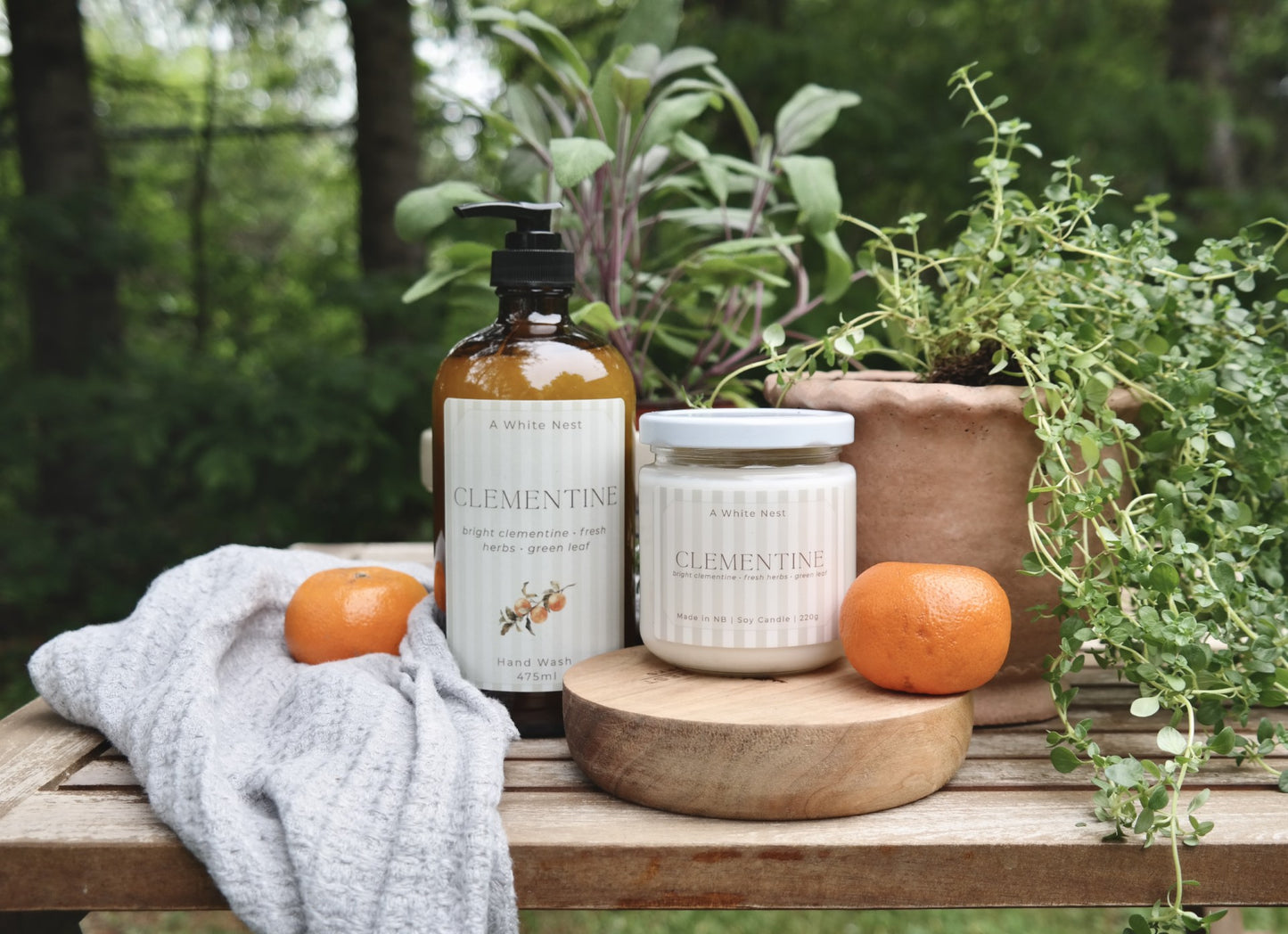 Clementine 16oz Liquid Hand Soap