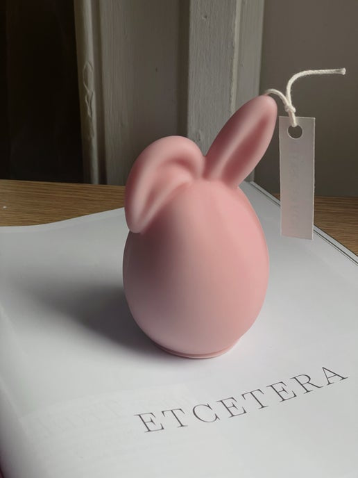 Floppy Eared Bunny
