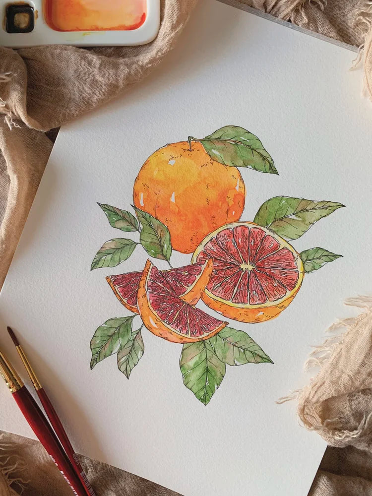 Grapefruit Art Print (5x7)