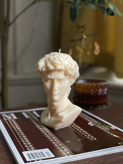 David Bust