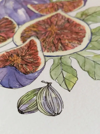Figs Art Print (5x7)