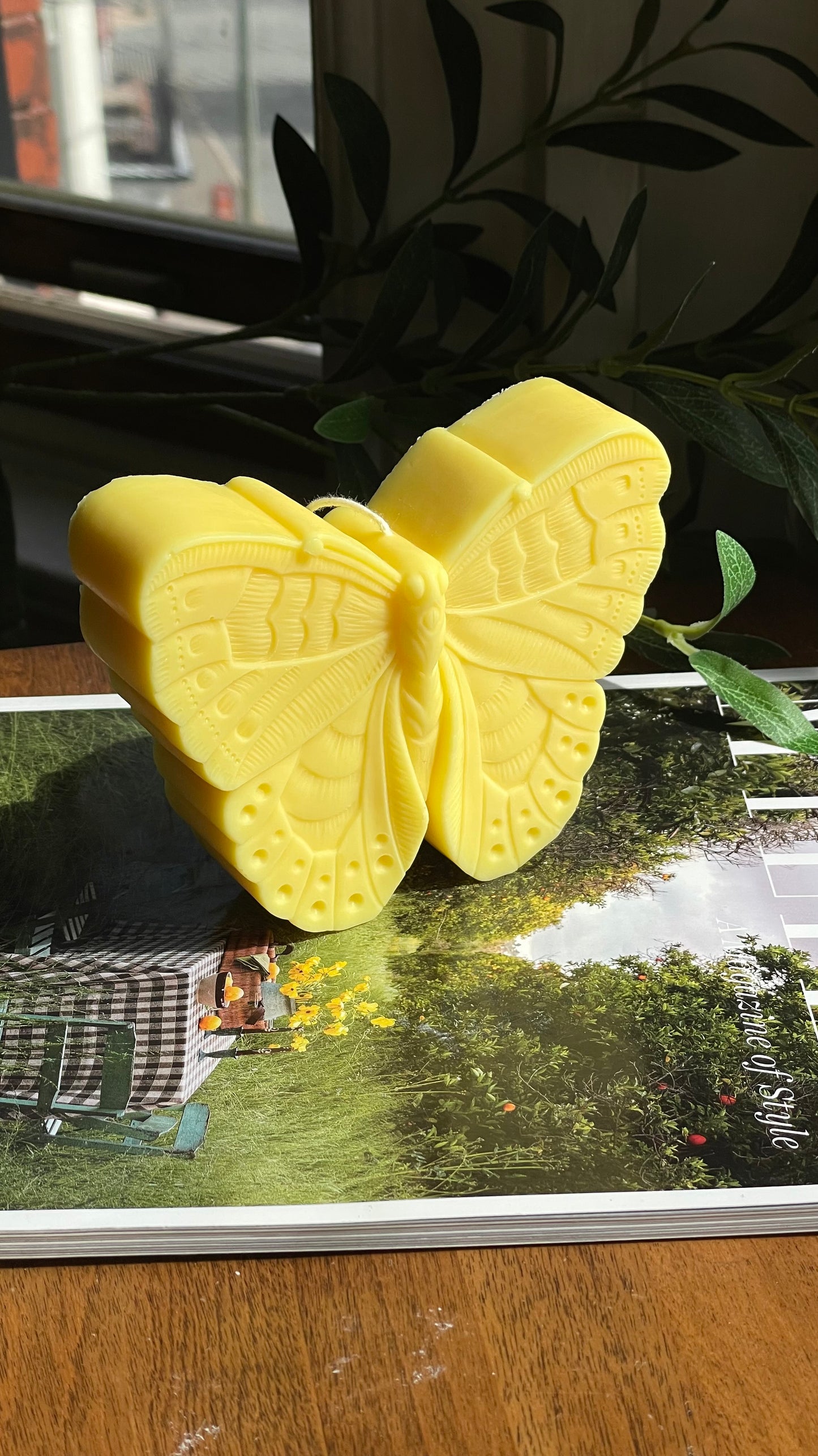 Butterfly
