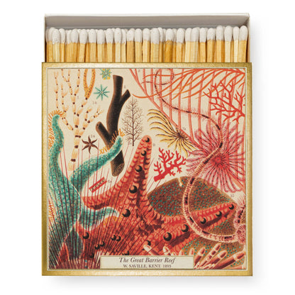Great Barrier Reef | Safety Matches