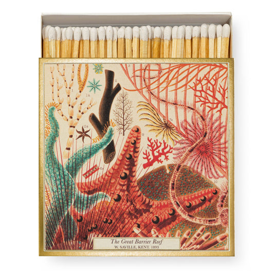 Great Barrier Reef | Safety Matches