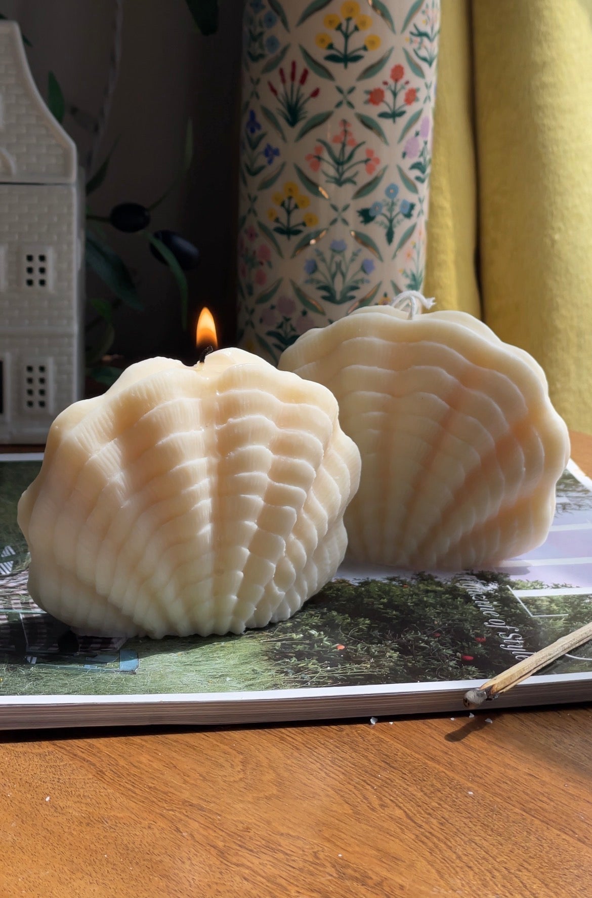 Ocean Shell