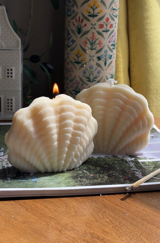 Ocean Shell
