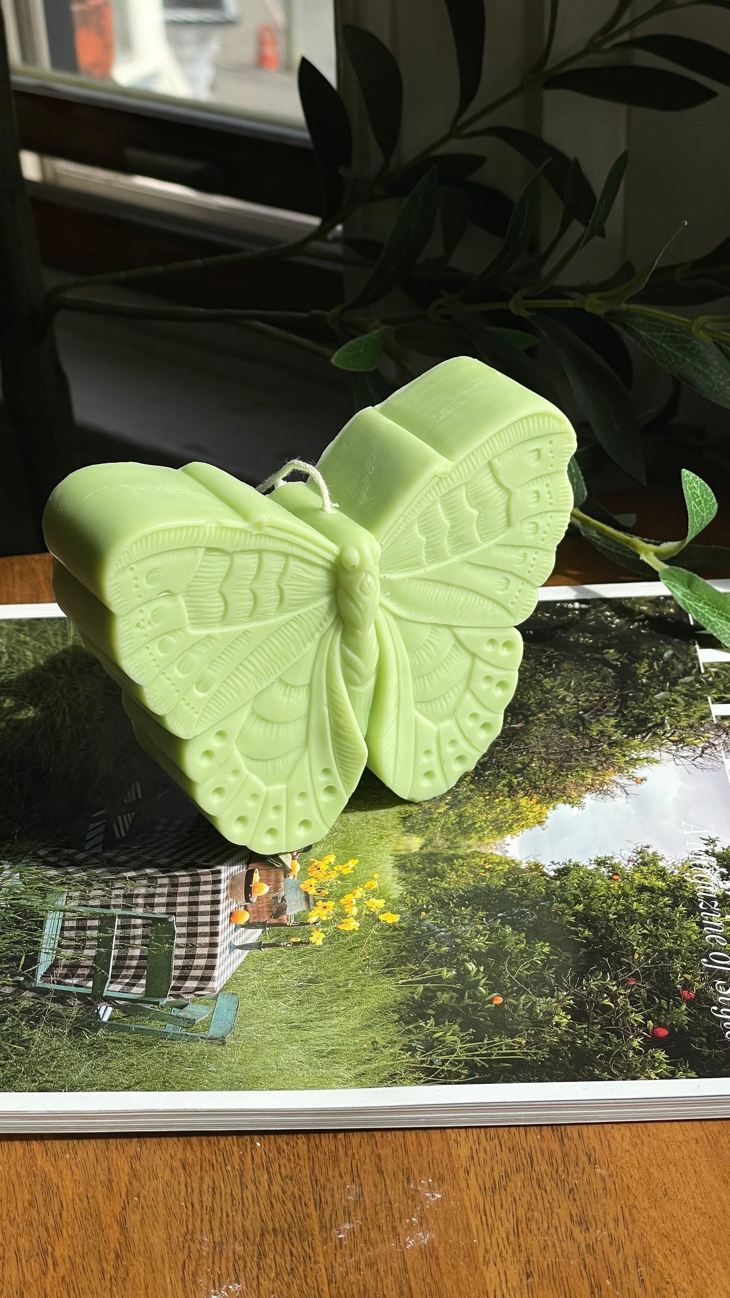 Butterfly