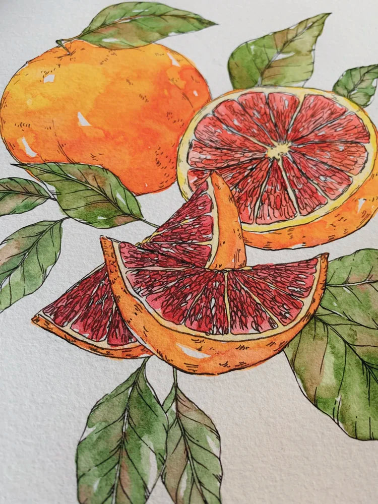 Grapefruit Art Print (5x7)