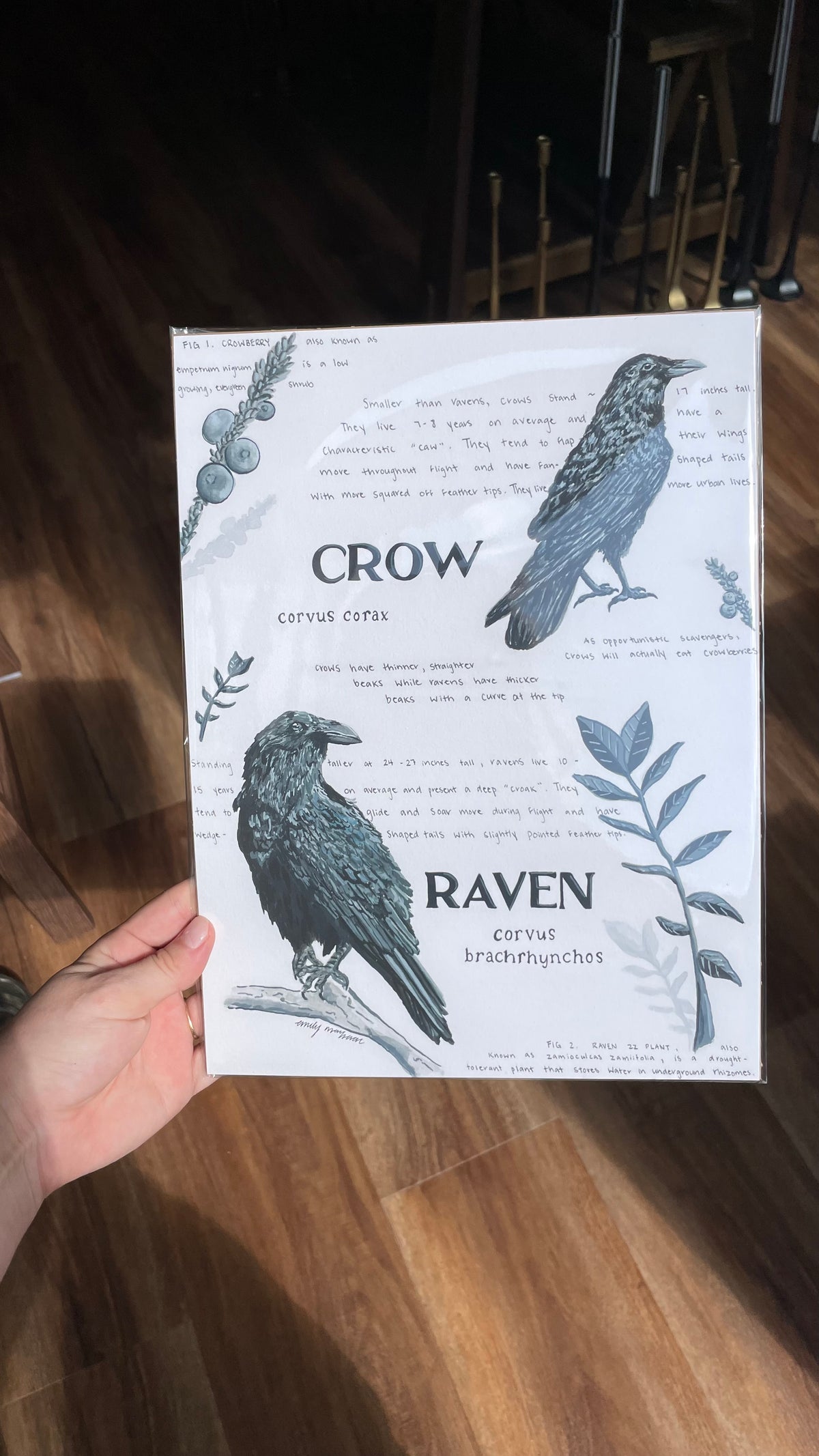 Art Prints by Emily MacIsaac
