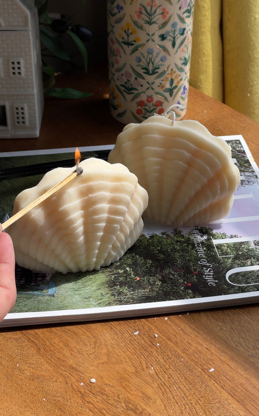 Ocean Shell