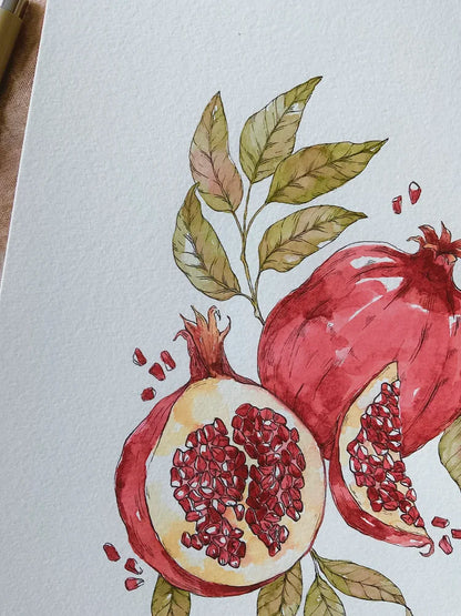 Pomegranate Art Print (5x7)