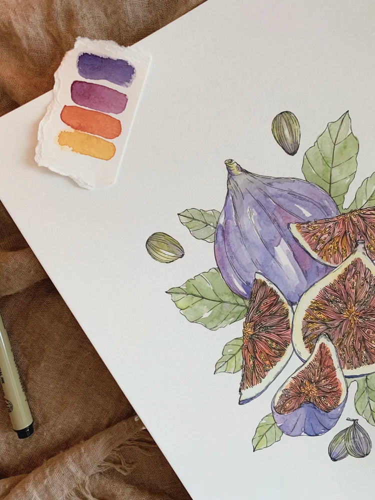 Figs Art Print (5x7)