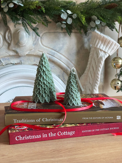 Holly Tree