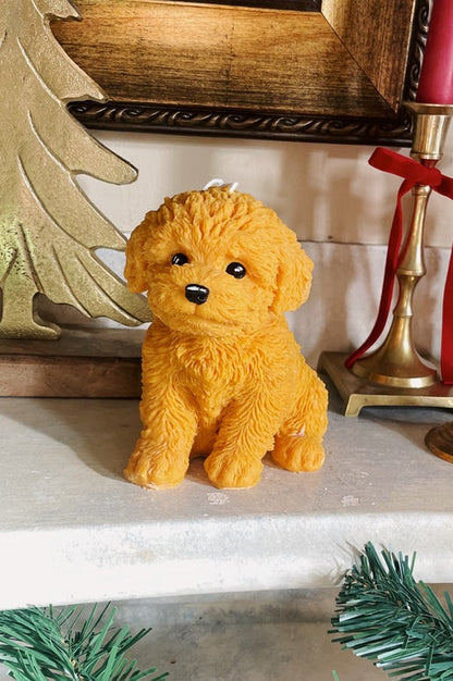 Puppy
