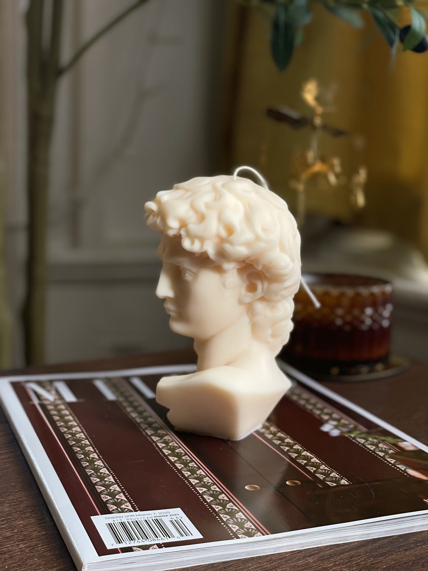 David Bust