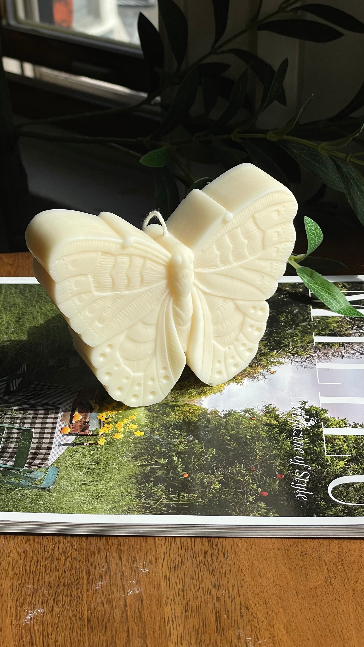 Butterfly