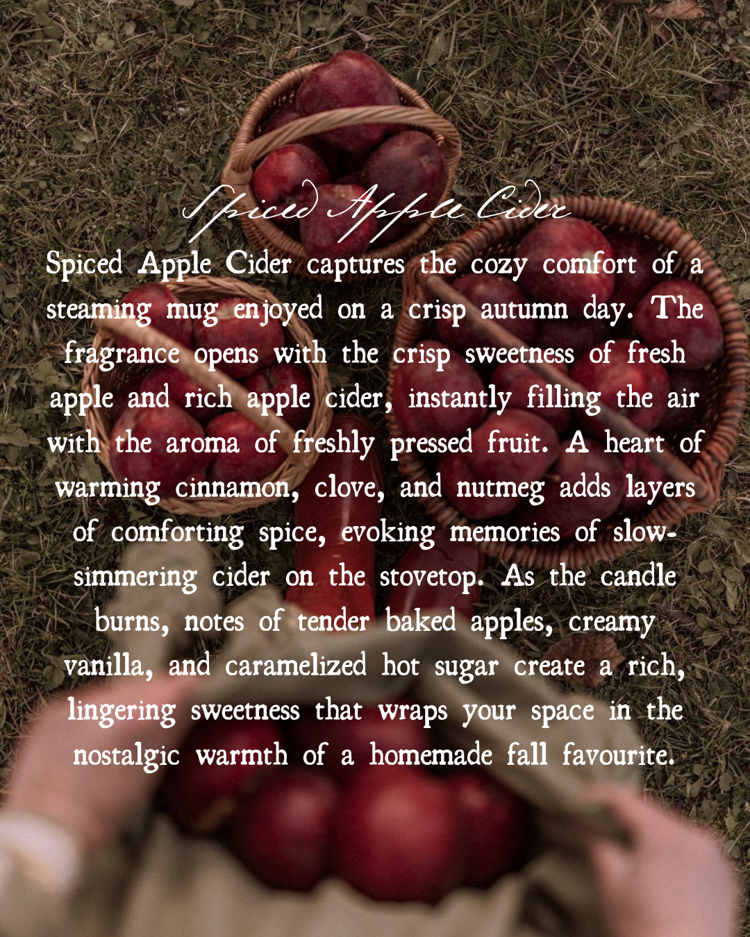 8oz Spiced Apple Cider