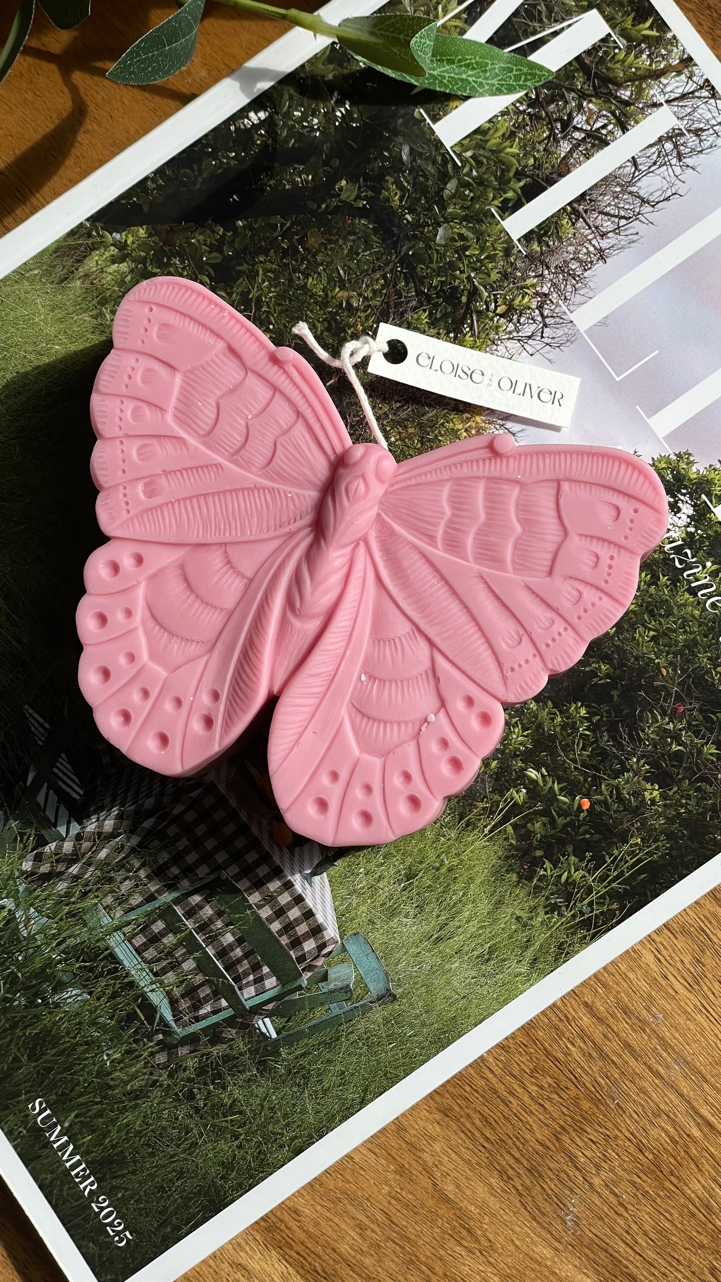 Butterfly