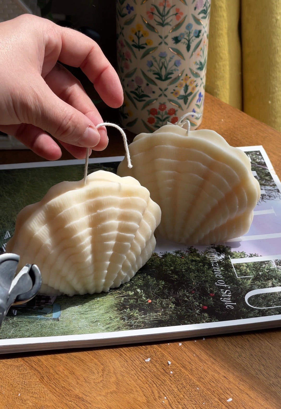 Ocean Shell