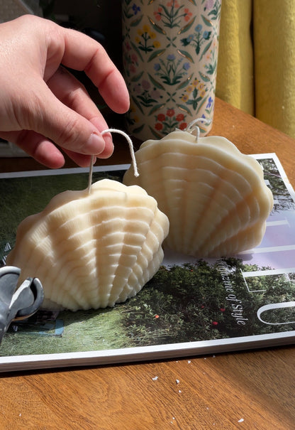 Ocean Shell