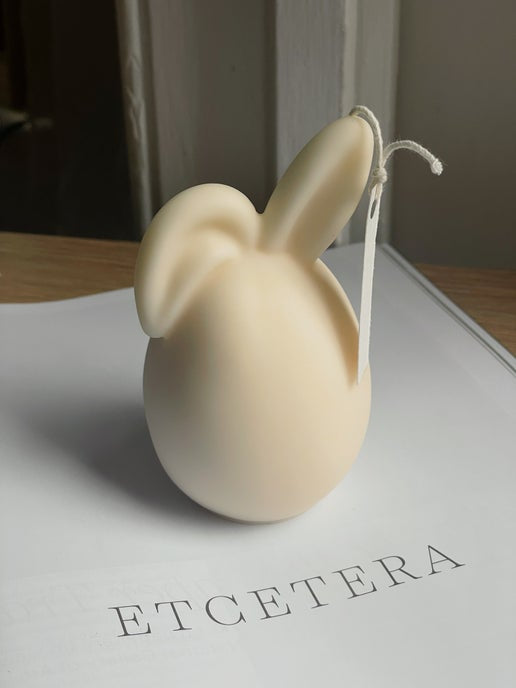 Floppy Eared Bunny
