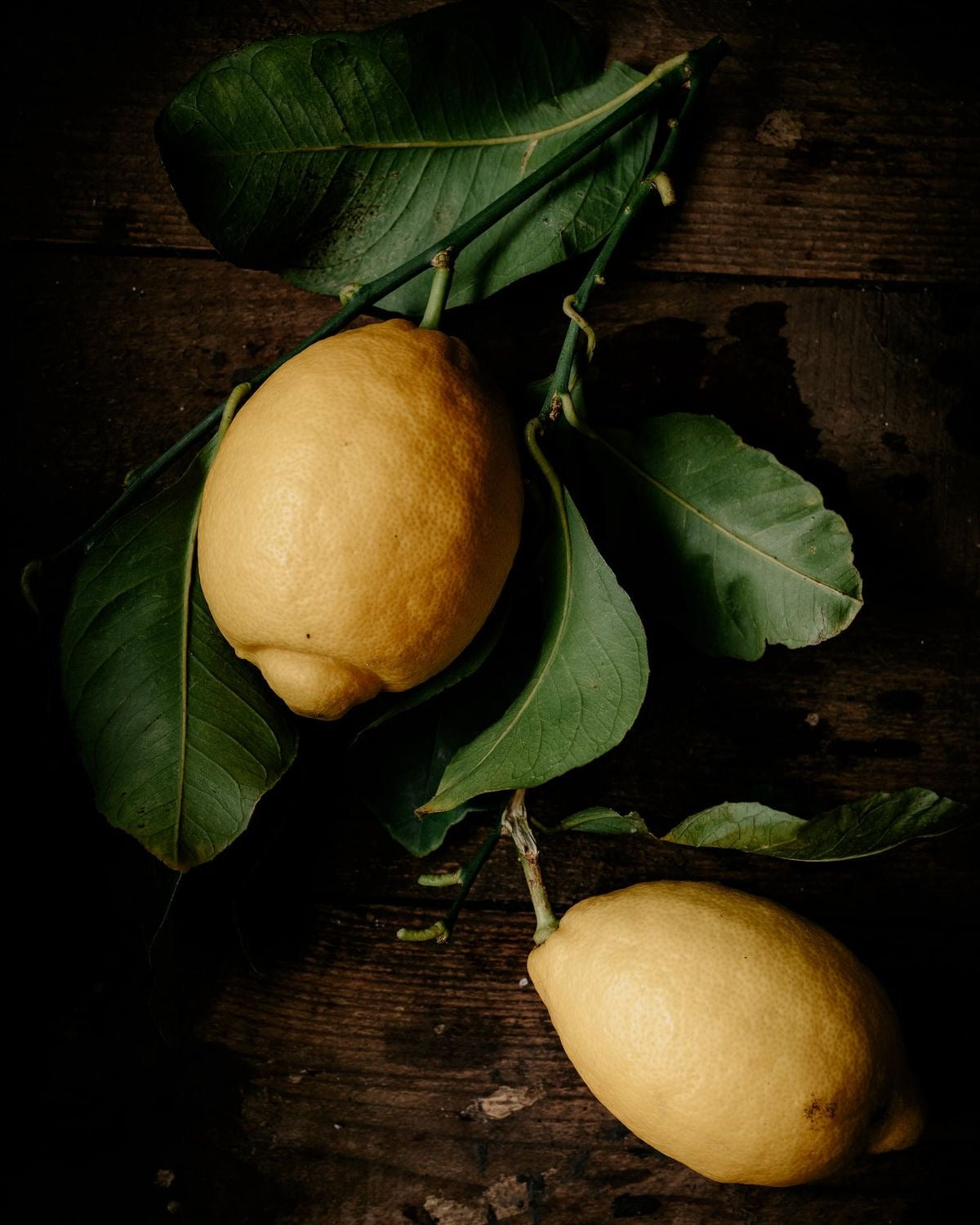 7oz Jewel Jar Refill