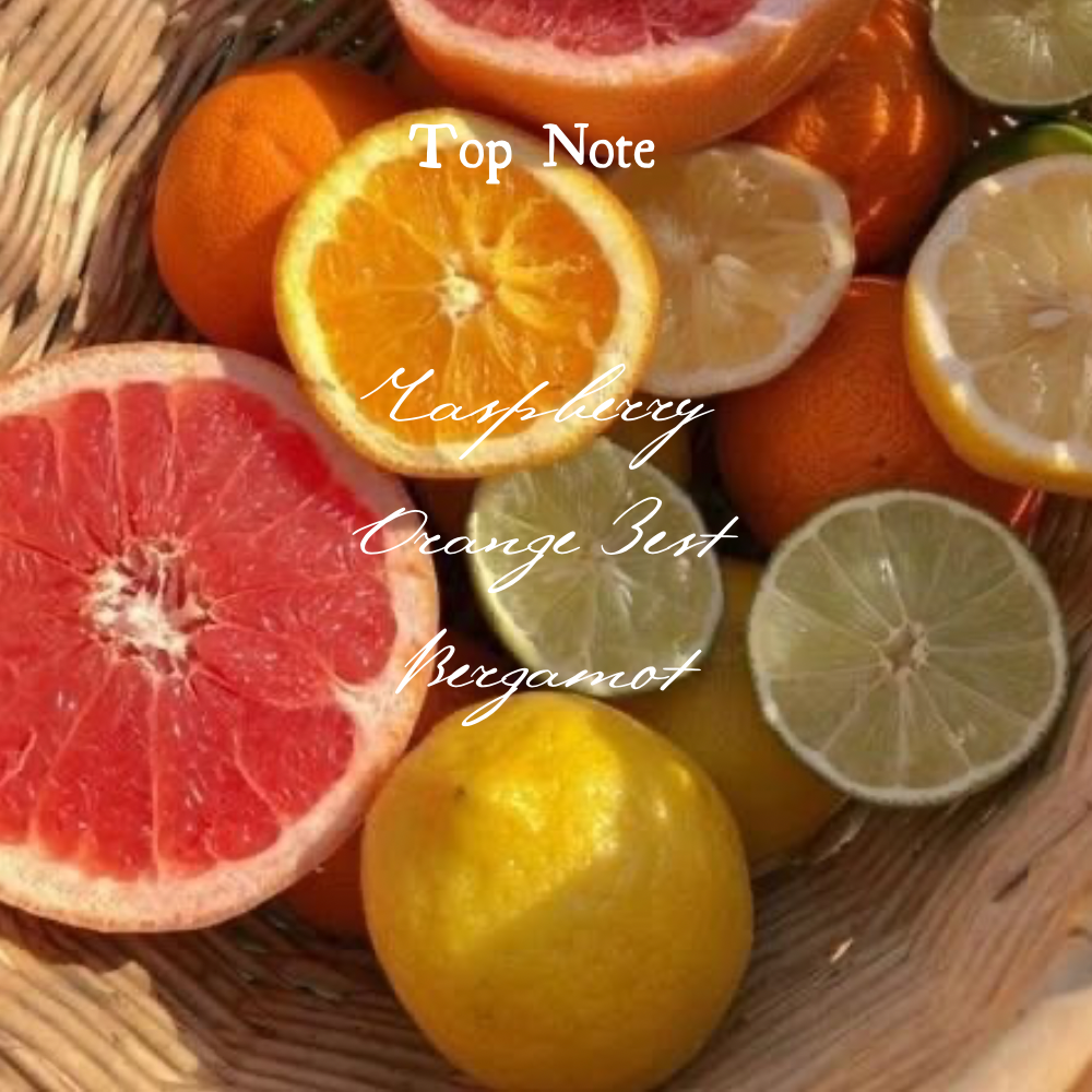 8oz Citrus and Sage Candle