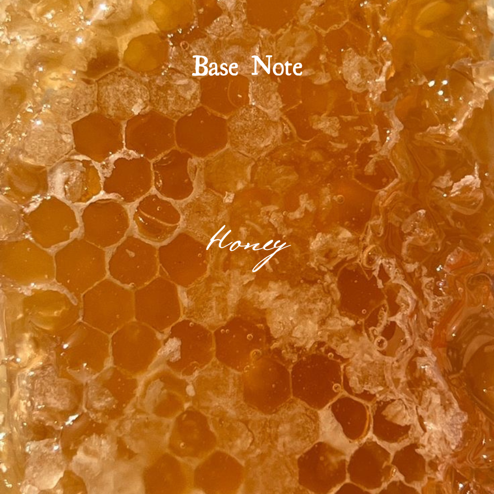 8oz Milk and Honey Candle