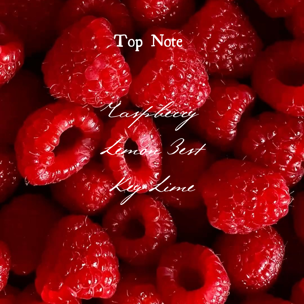 8oz Raspberry and Vanilla Candle