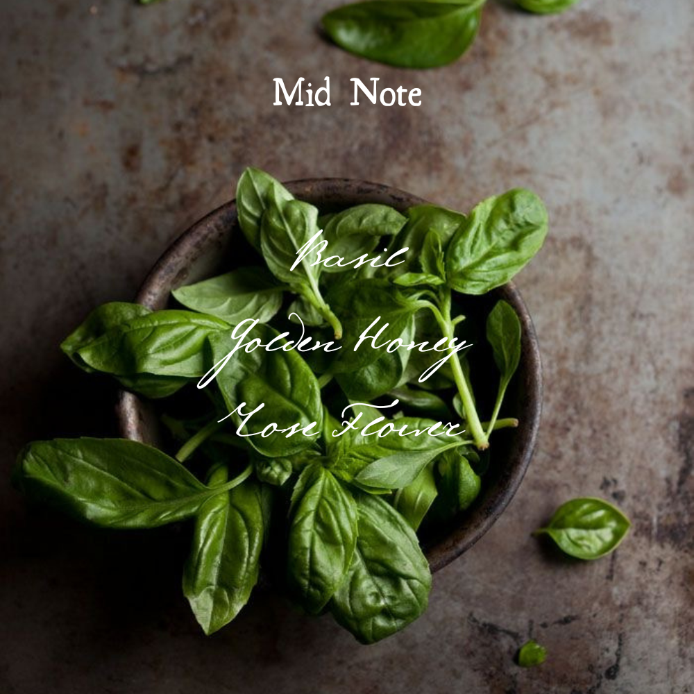 8oz Basil and Bosc Pear Candle