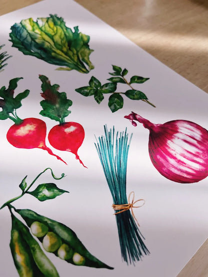 Spring Vegetables Art Print (5x7)