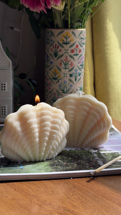 Ocean Shell