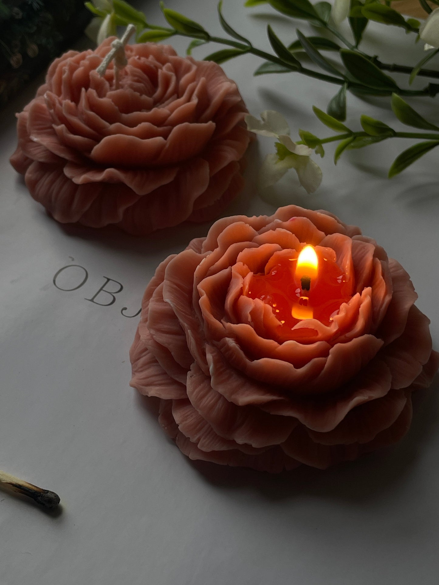 Peony